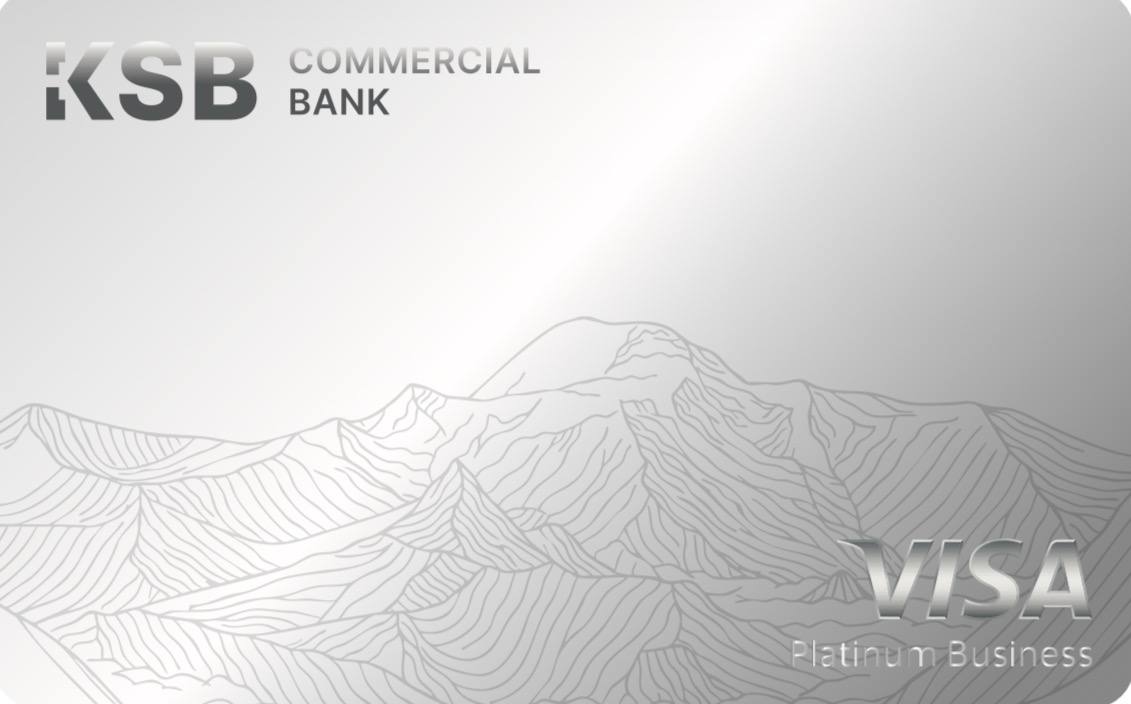 Visa Business Platinum
